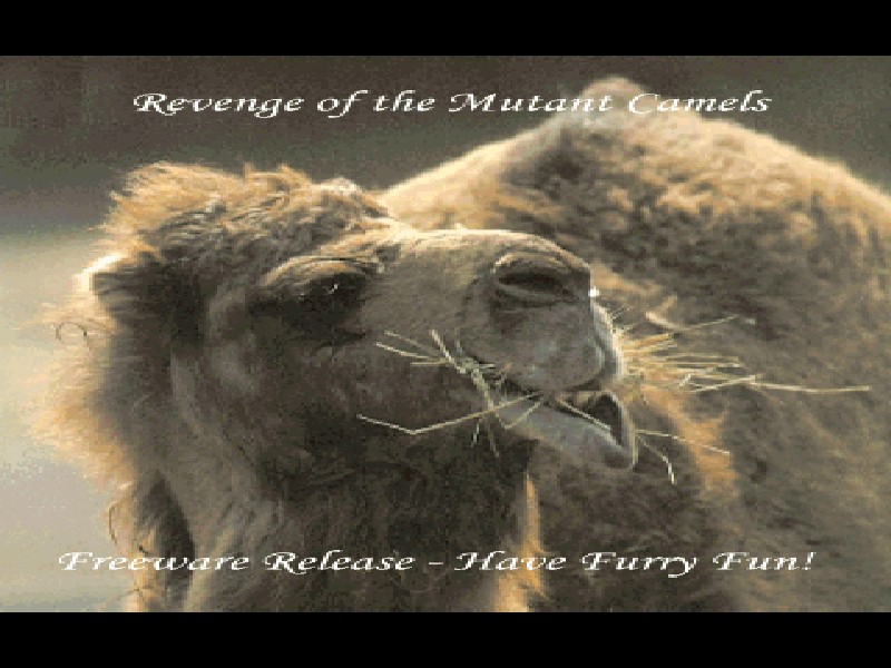 Revenge of the Mutant Camels